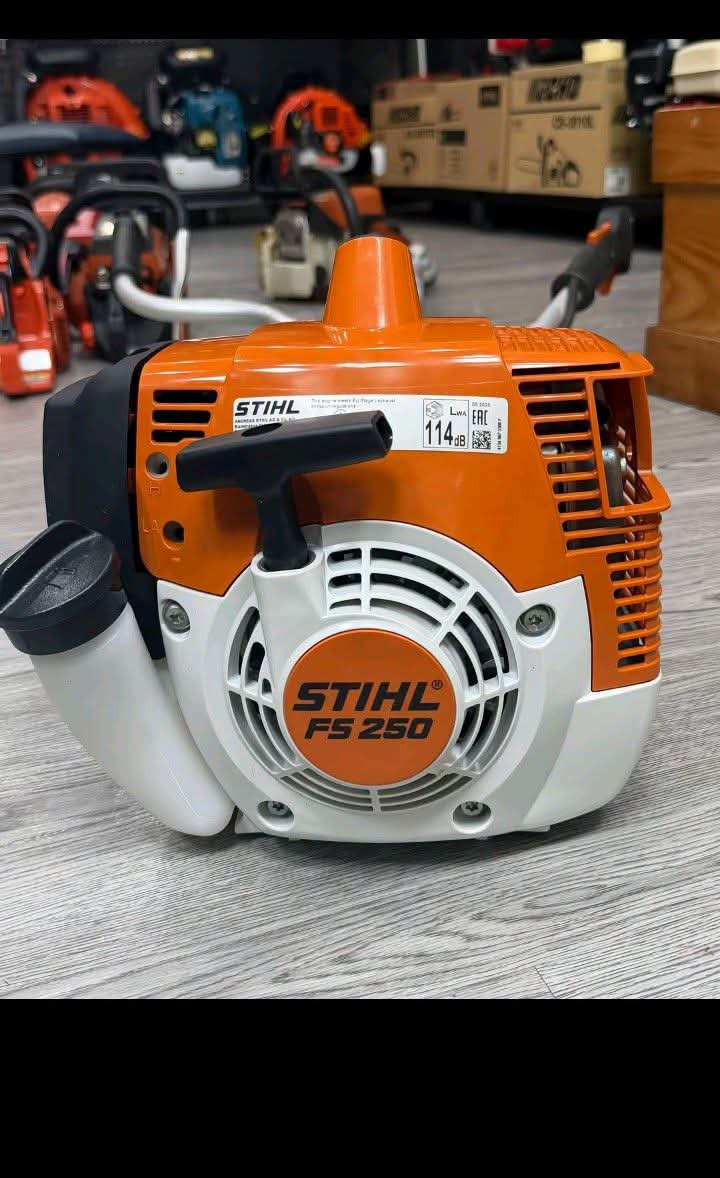 Guadaña Stihl FS 250